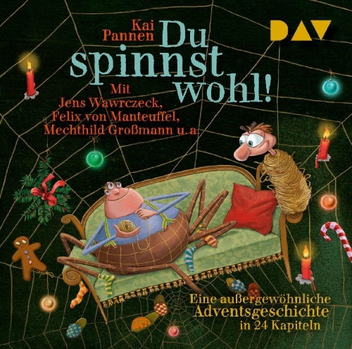 Buchcover und Innenansicht für das Buch: Du spinnst wohl! Eine außergewöhnliche Adventsgeschichte in 24 Kapiteln