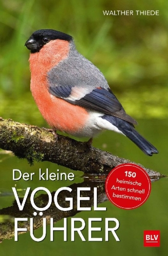Buchcover und Innenansicht für das Buch: Der kleine Vogelführer
