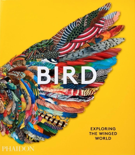 Buchcover und Innenansicht für das Buch: Bird
