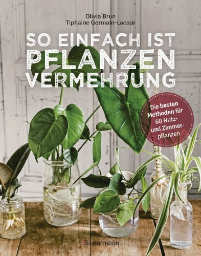 Buchcover und Innenansicht für das Buch: Noyaux & Boutures