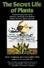Buchcover und Innenansicht für das Buch: The Secret Life of Plants