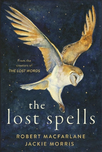 Buchcover und Innenansicht für das Buch: The Lost Spells