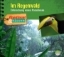 Buchcover und Innenansicht für das Buch: Abenteuer & Wissen: Im Regenwald