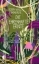 Buchcover und Innenansicht für das Buch: Die ehrenhafte Ernte