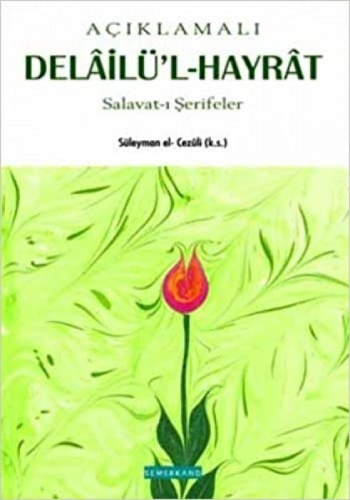 Buchcover und Innenansicht für das Buch: Aciklamali Delailü'l Hayrat