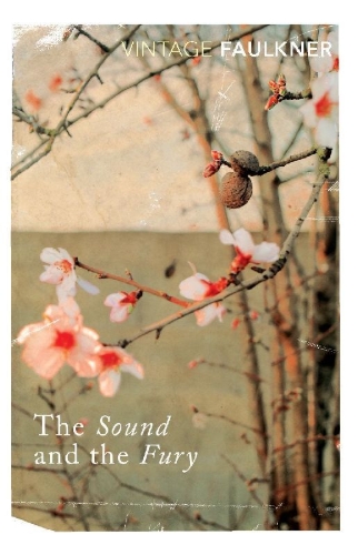 Buchcover und Innenansicht für das Buch: The Sound and the Fury