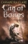 Buchcover und Innenansicht für das Buch: The Mortal Instruments. Book One. City of Bones