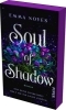 Buchcover und Innenansicht für das Buch: Soul of Shadow