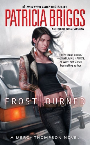 Buchcover und Innenansicht für das Buch: Frost Burned