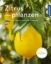 Buchcover und Innenansicht für das Buch: Zitruspflanzen (Mein Garten)