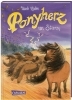Buchcover und Innenansicht für das Buch: Ponyherz 14: Ponyherz im Sturm