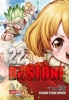 Buchcover und Innenansicht für das Buch: Dr. Stone
