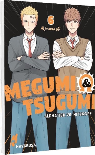 Buchcover und Innenansicht für das Buch: Megumi to Tsugumi