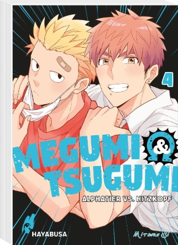 Buchcover und Innenansicht für das Buch: Megumi to Tsugumi