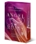 Buchcover und Innenansicht für das Buch: Angel of Ruins