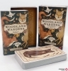 Buchcover und Innenansicht für das Buch: Woodland Wardens: 52 Orakelkarten mit Booklet