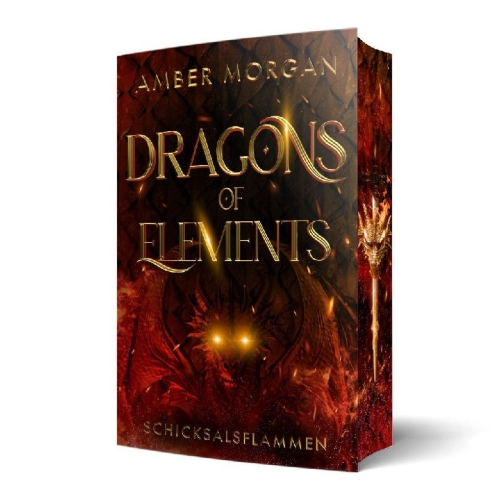Buchcover und Innenansicht für das Buch: Dragons of Elements