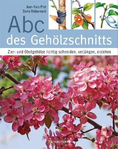 Buchcover und Innenansicht für das Buch: L'abc de la taille