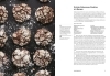 Buchcover und Innenansicht für das Buch: Sweet