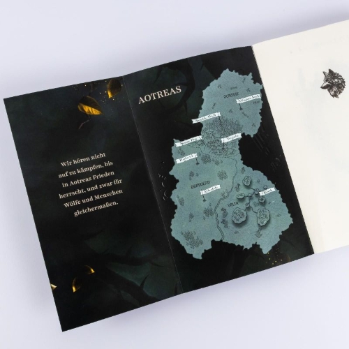 Buchcover und Innenansicht für das Buch: A Sky of Emerald Stars