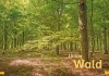 Buchcover und Innenansicht für das Buch: WAS IST WAS Erstes Lesen Band 6. Wald