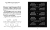 Buchcover und Innenansicht für das Buch: Sciencia