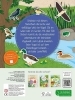 Buchcover und Innenansicht für das Buch: Naturforscher-Kids - Stickerheft Vögel