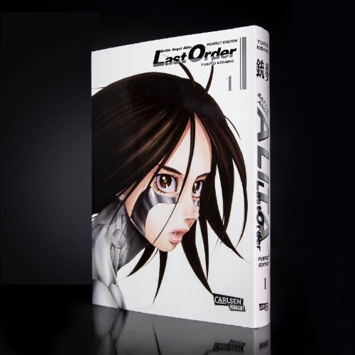 Buchcover und Innenansicht für das Buch: Gunnm Last Order