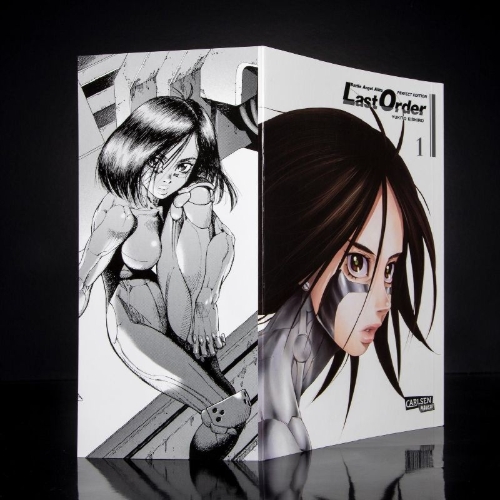Buchcover und Innenansicht für das Buch: Gunnm Last Order