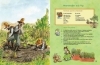 Buchcover und Innenansicht für das Buch: Kochen mit Pettersson und Findus
