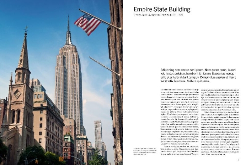 Buchcover und Innenansicht für das Buch: American Icons