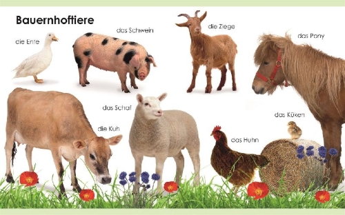 Buchcover und Innenansicht für das Buch: Erstes Lernen mini. Tiere