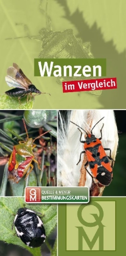 Buchcover und Innenansicht für das Buch: Wanzen