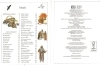 Buchcover und Innenansicht für das Buch: The Children's Illustrated Bible