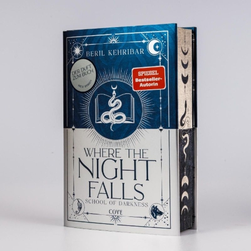 Buchcover und Innenansicht für das Buch: Where the Night Falls (School of Darkness 1)