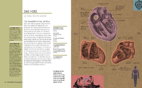 Buchcover und Innenansicht für das Buch: Anatomie in 30 Sekunden