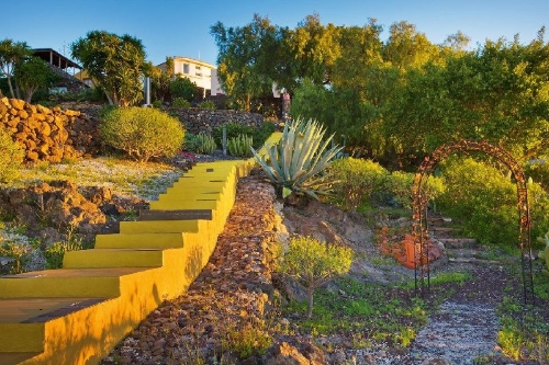 Buchcover und Innenansicht für das Buch: Mediterranes Gartendesign