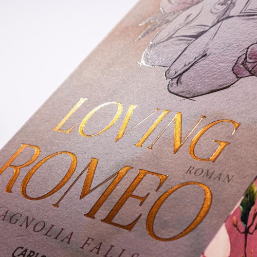Buchcover und Innenansicht für das Buch: Loving Romeo