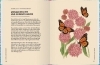 Buchcover und Innenansicht für das Buch: Planting Wildflowers