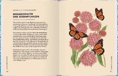 Buchcover und Innenansicht für das Buch: Planting Wildflowers