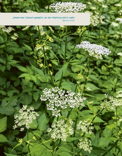 Buchcover und Innenansicht für das Buch: Geliebtes Unkraut