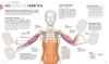 Buchcover und Innenansicht für das Buch: Krafttraining - Die Anatomie verstehen