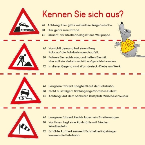 Buchcover und Innenansicht für das Buch: Autofahren!