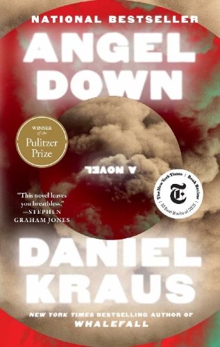 Buchcover und Innenansicht für das Buch: Angel Down