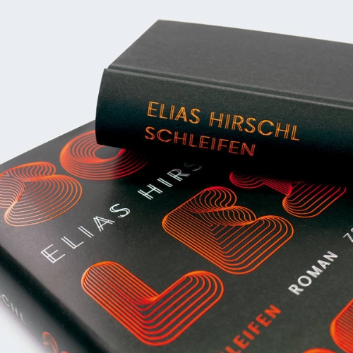 Bild von Schleifen - Roman. Nominiert für den Deutschen Buchpreis 2026