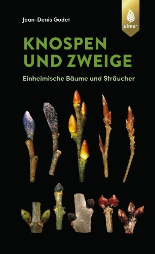Buchcover und Innenansicht für das Buch: Knospen und Zweige