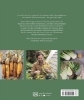 Buchcover und Innenansicht für das Buch: Frische Gemüseküche