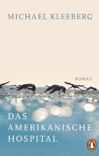 Buchcover und Innenansicht für das Buch: Das amerikanische Hospital