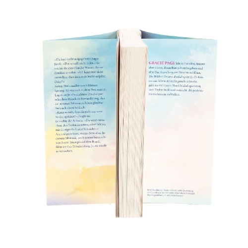 Buchcover und Innenansicht für das Buch: The Wildest Dreams Bookshop