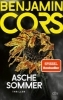 Buchcover und Innenansicht für das Buch: Aschesommer